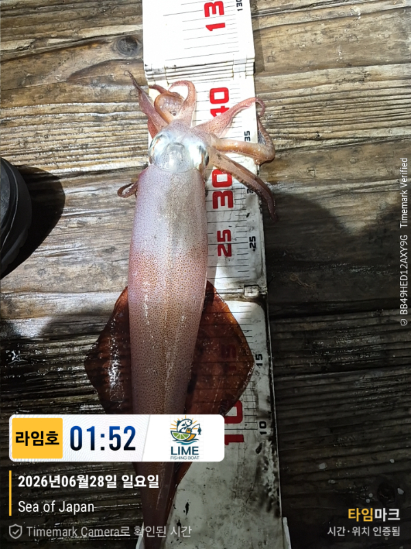 KakaoTalk_20260628_134018523_13.jpg
