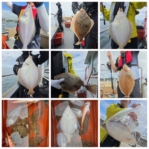 PhotoCollage_1780961848548.jpg
