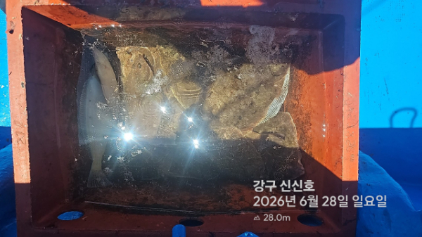 신신낚시 강구점 신신호_사진_20260628_8.jpg