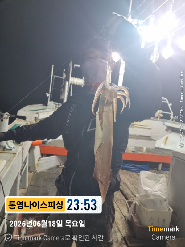 2026-06-18 23.53.33__(제목-통영나이스피싱).jpg
