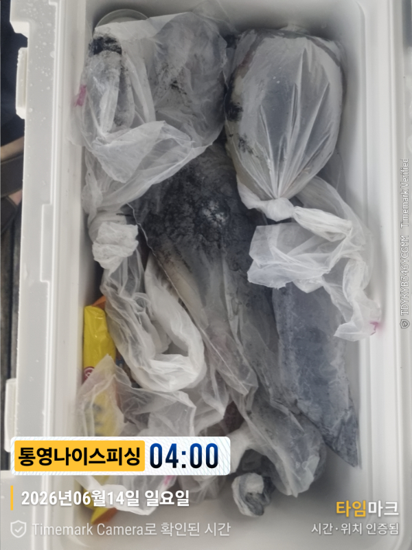 2026-06-14 04.00.35__(제목-통영나이스피싱).jpg