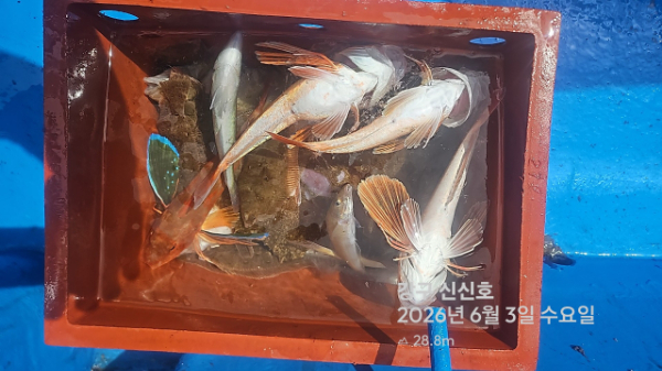 신신낚시 강구점 신신호_사진_20260603_8.jpg