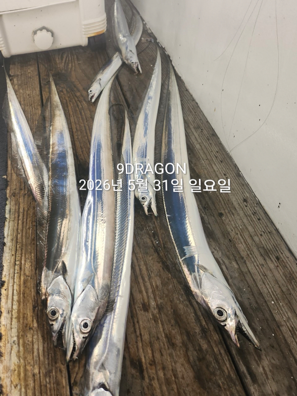E8E659E1-EAE7-4293-B460-E82CD3E153E5.jpeg