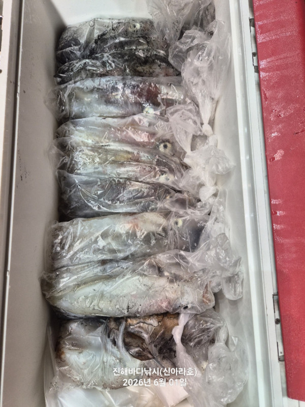 바다꾼낚시(신아라호)_사진_20260601_14.jpg