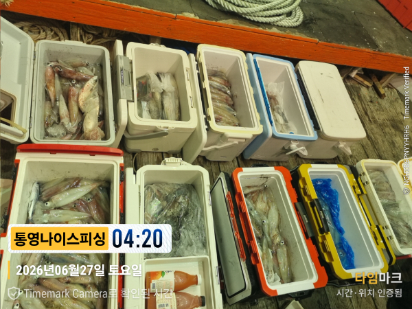 2026-06-27 04.20.08__(제목-통영나이스피싱).jpg