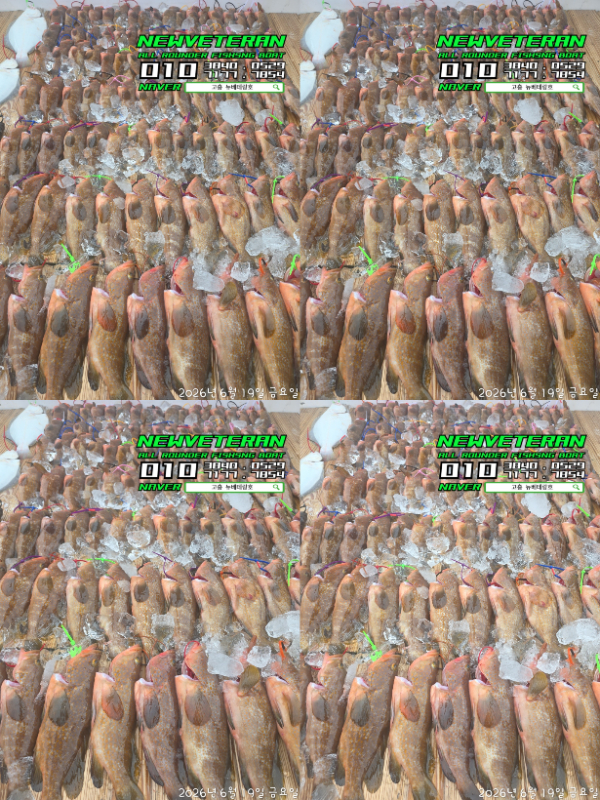 56169.jpg