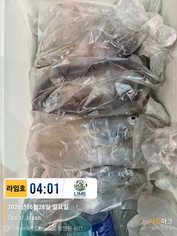 KakaoTalk_20260628_134018523_17.jpg