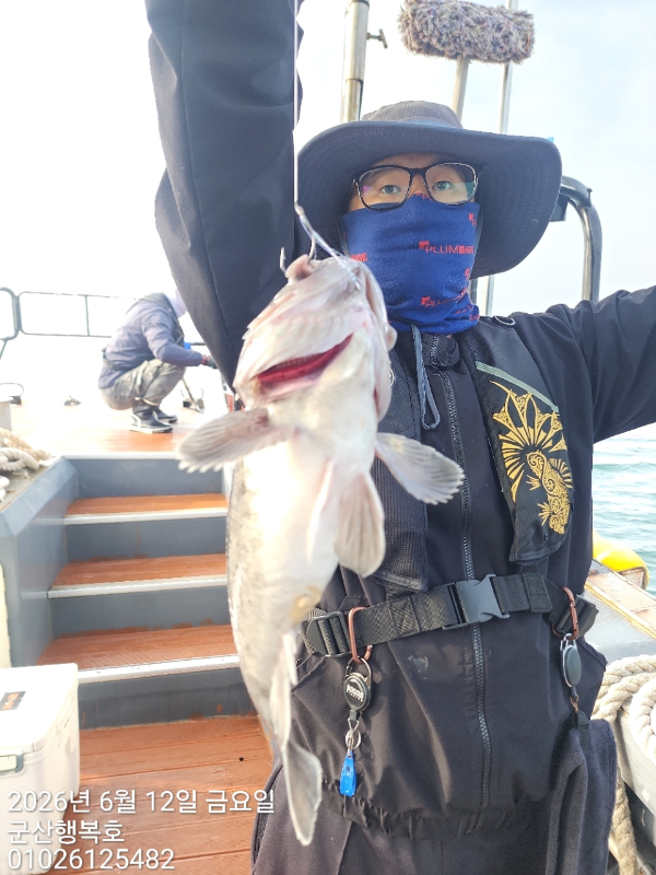 군산행복호_사진_20260612_10.jpg