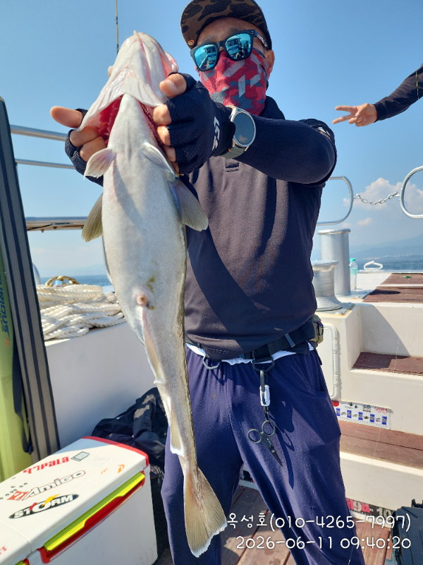 IMG_20260611_094020.jpg