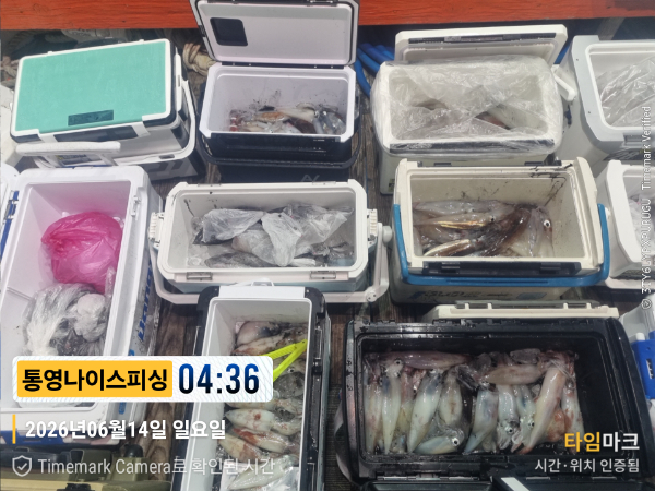2026-06-14 04.36.10__(제목-통영나이스피싱).jpg