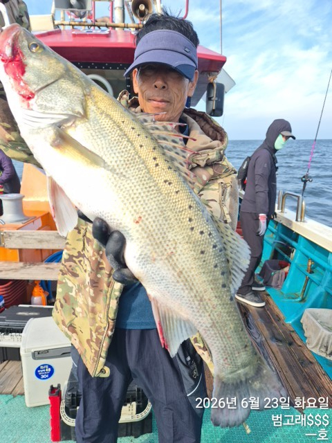KakaoTalk_20260623_091026983_12.jpg