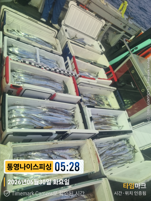 2026-06-30 05.28.38__(제목-통영나이스피싱).jpg