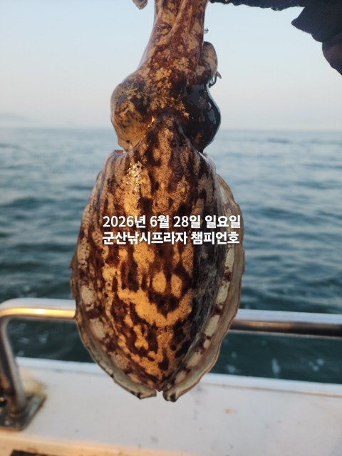 KakaoTalk_20260628_062049994_03.jpg