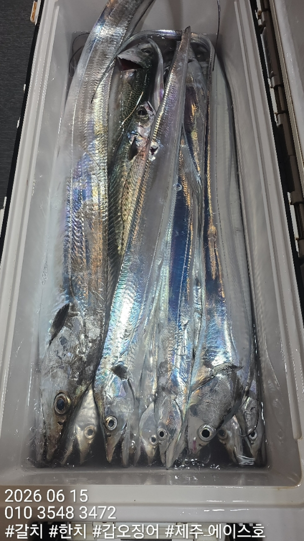 KakaoTalk_20260615_122001818_07.jpg