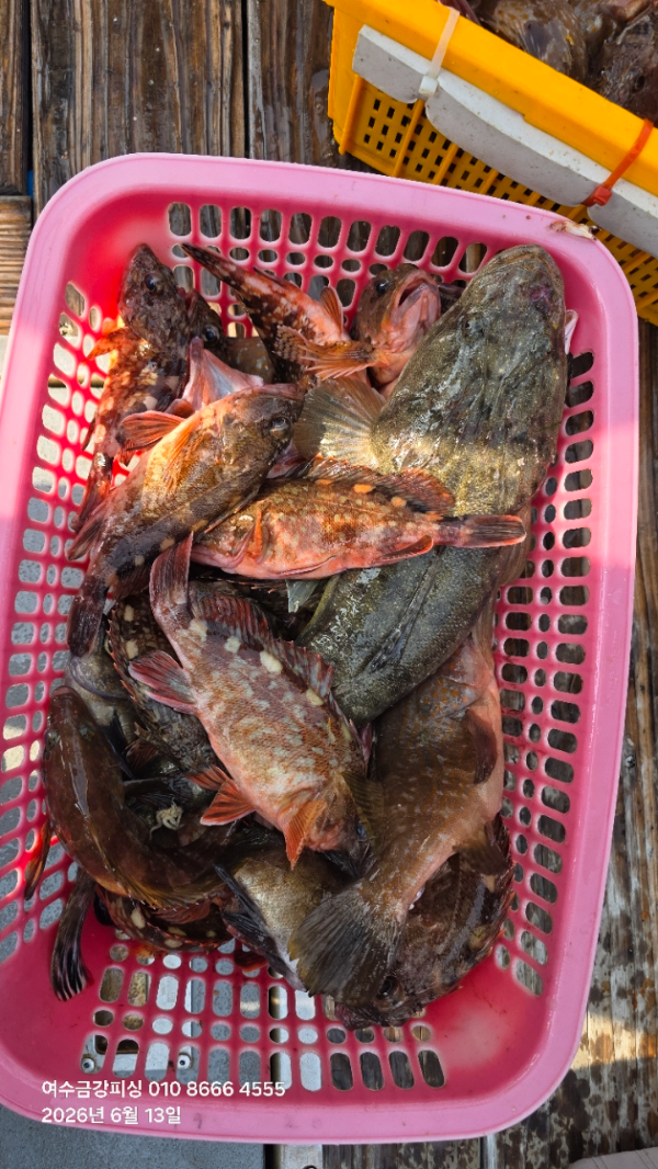여수금강피싱_사진_20260615_17.jpg