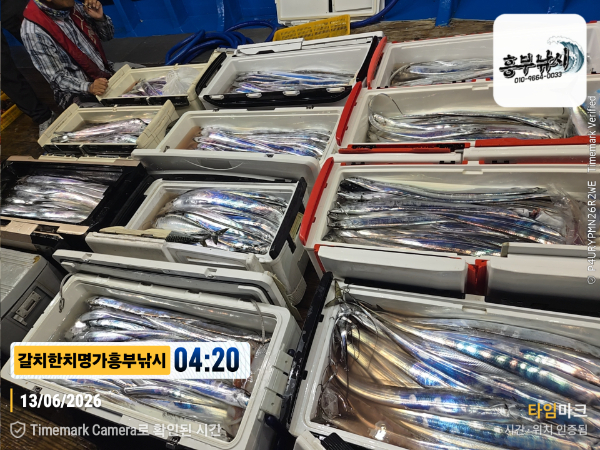 2026-06-13 04.20.35__(제목-갈치한치명가흥부낚시).jpg