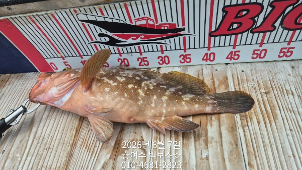4872F94D-A8CB-42CF-801A-8198EA1BD9B6.jpeg