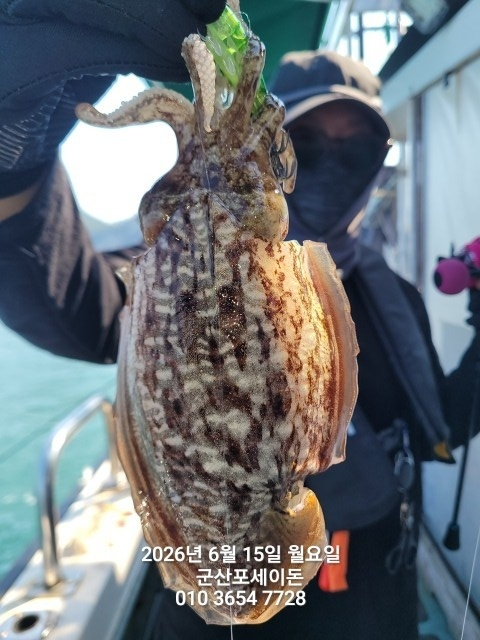BandPhoto_2026_06_15_15_01_08_8.jpg