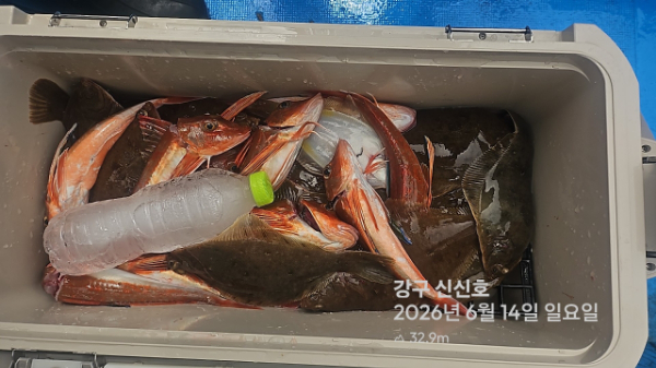 신신낚시 강구점 신신호_사진_20260614_3.jpg