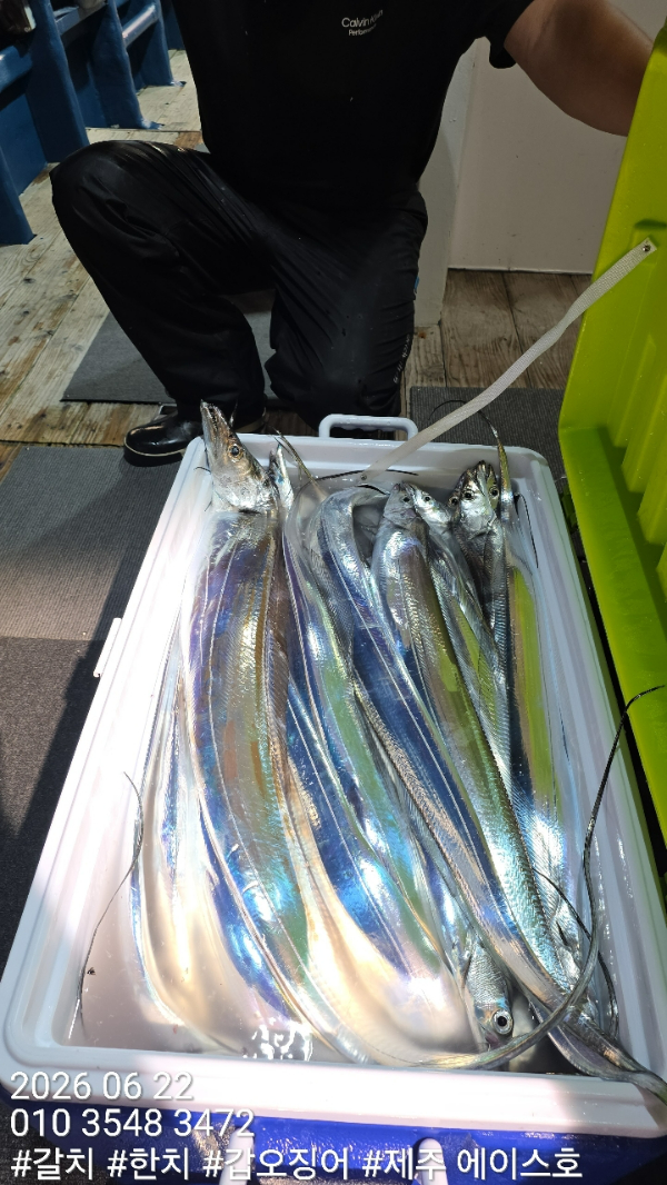 KakaoTalk_20260622_092142556_09.jpg