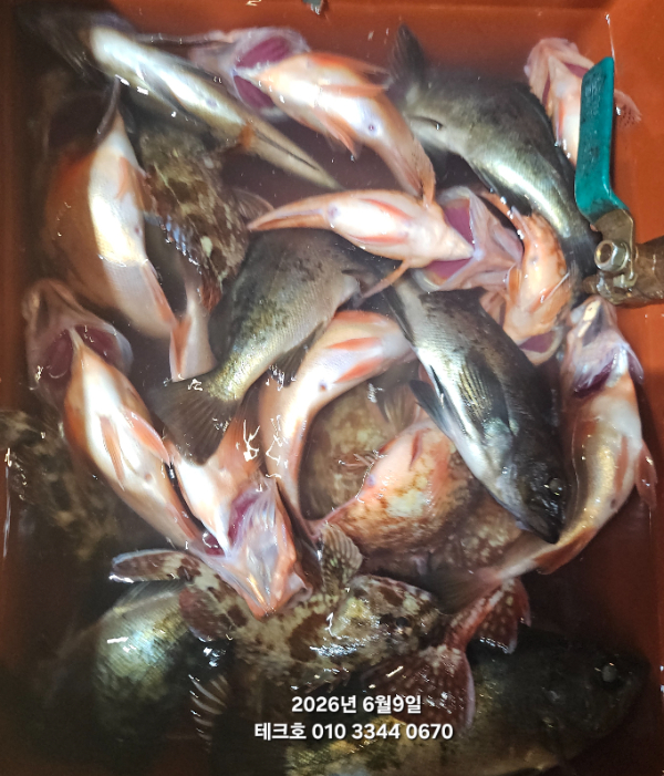 KakaoTalk_20260610_070746801_05.jpg