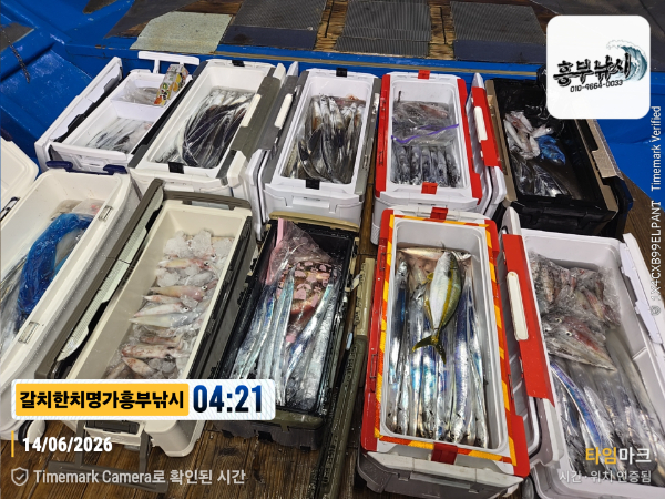 2026-06-14 04.21.57__(제목-갈치한치명가흥부낚시).jpg