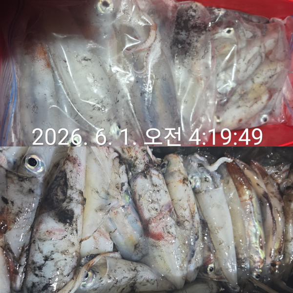 1000080184.jpg