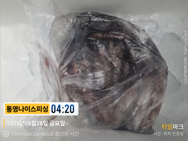 2026-06-26 04.20.36__(제목-통영나이스피싱).jpg
