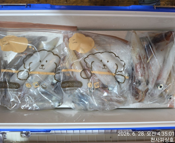 1004피싱_사진_20260628_10.jpg