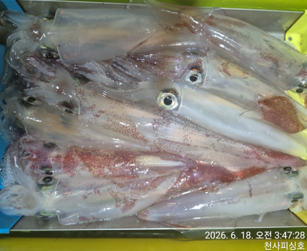 1004피싱_사진_20260618_19.jpg
