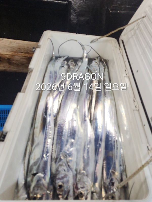 D004563A-D746-4C6D-BA6F-B05460201BFA.jpeg