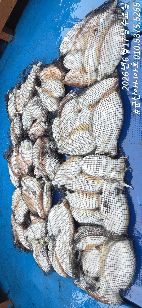 1781677545446.jpg