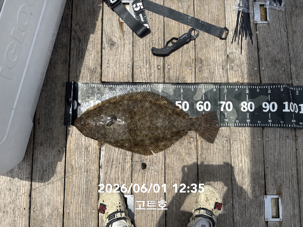 고트호2등 지예나님2.jpg