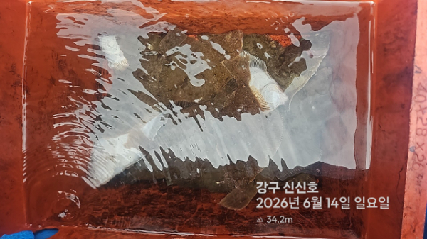 신신낚시 강구점 신신호_사진_20260614_2.jpg
