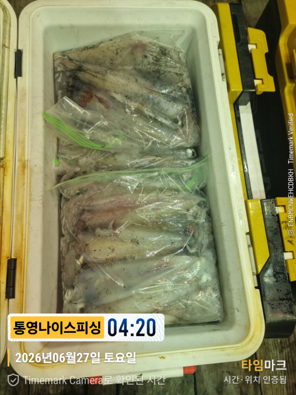 2026-06-27 04.20.51__(제목-통영나이스피싱).jpg