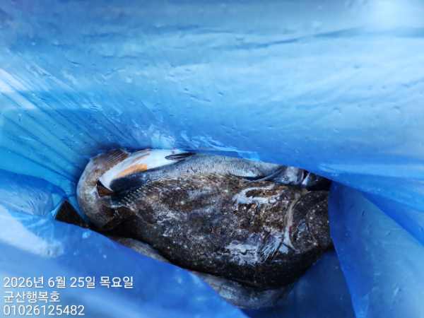 군산행복호_사진_20260625_15.jpg