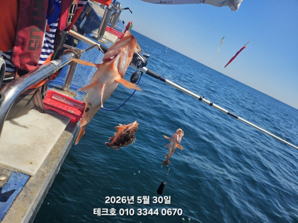 KakaoTalk_20260531_194256570_04.jpg