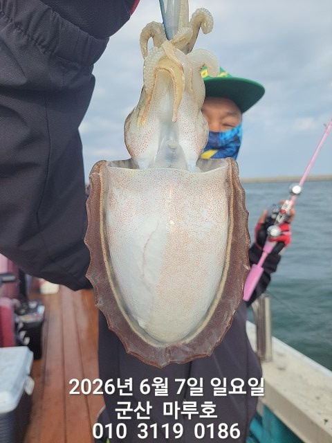 KakaoTalk_20260607_074220971.jpg
