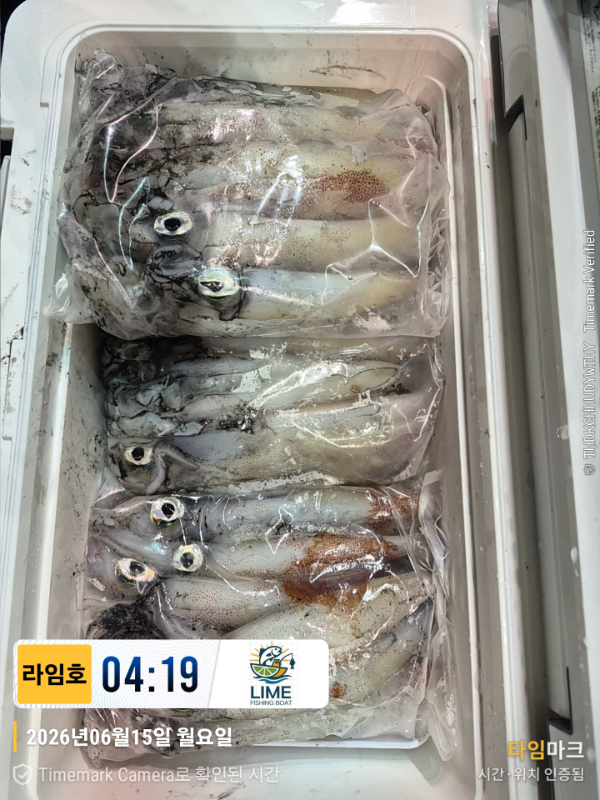 KakaoTalk_20260616_065443814_02.jpg