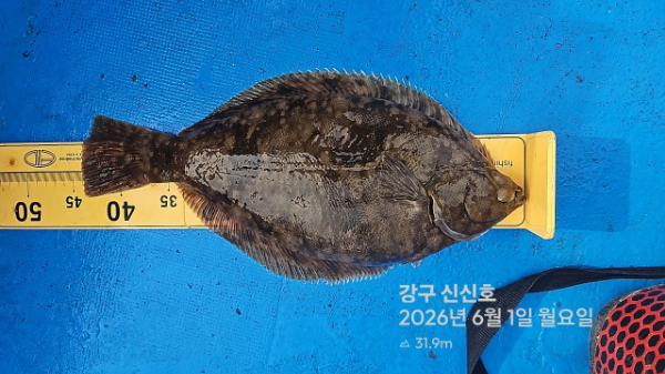 신신낚시 강구점 신신호_사진_20260601_12.jpg