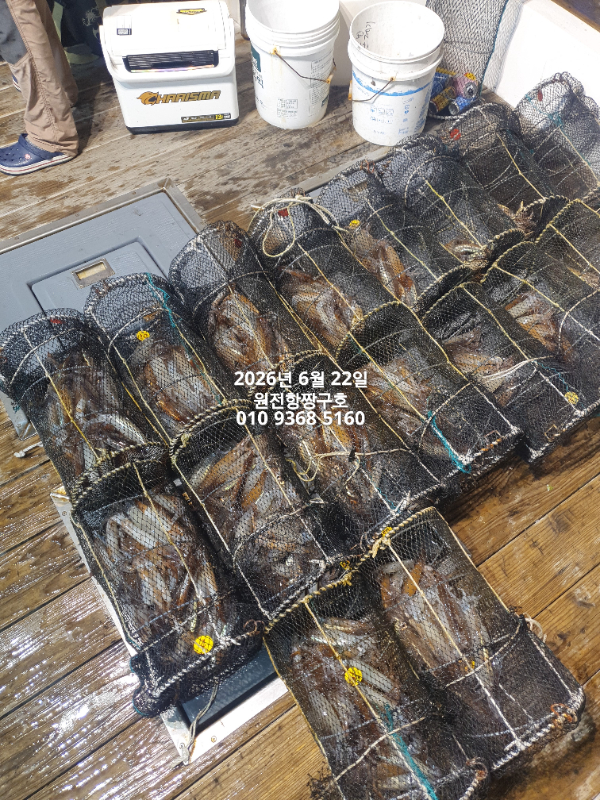 KakaoTalk_20260622_052359234_06.jpg
