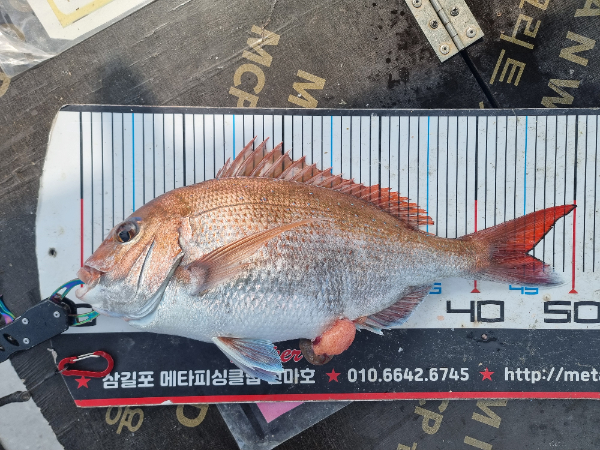 KakaoTalk_20260619_172650774_04.jpg