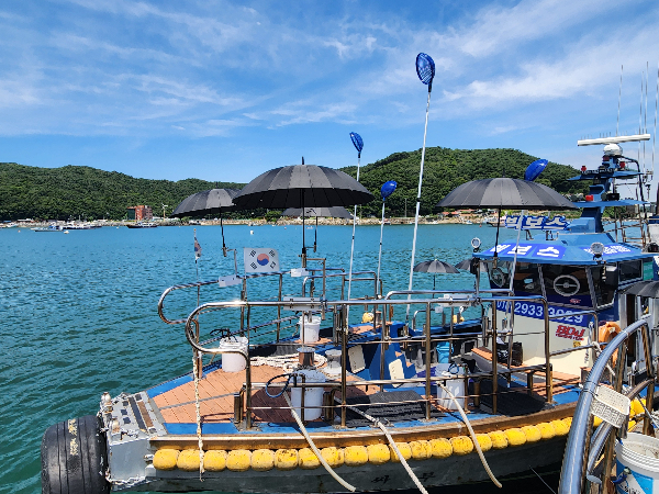 KakaoTalk_20260626_114146675_03.jpg