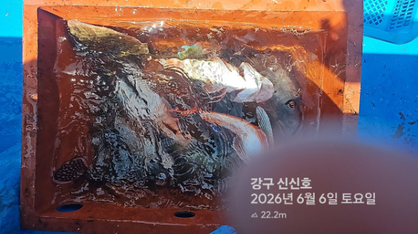신신낚시 강구점 신신호_사진_20260606_19.jpg