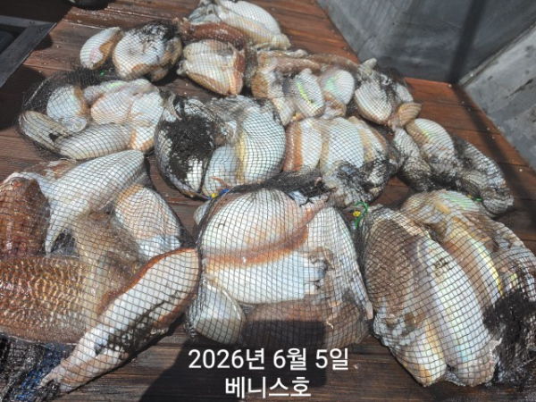 KakaoTalk_20260605_143123897_06.jpg
