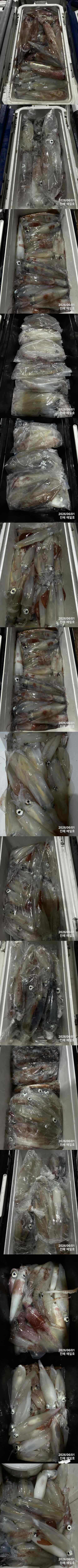 왕한치3.jpg