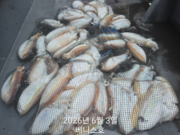 KakaoTalk_20260603_142251264_02.jpg