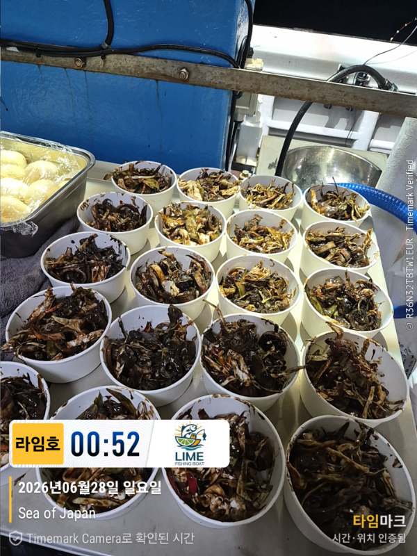 KakaoTalk_20260628_134018523_12.jpg
