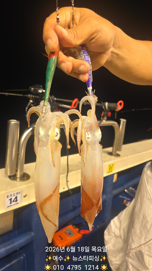 17048.jpg