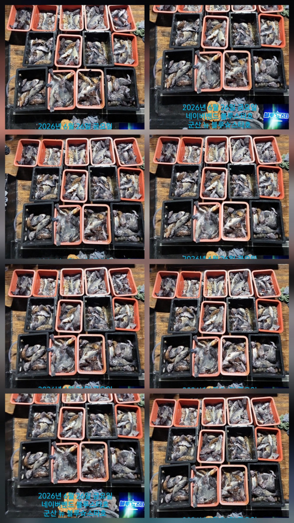 1000049394.jpg